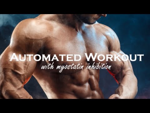 🏋️Automated Workout 🏋️‍♀️ (Morphic Field)