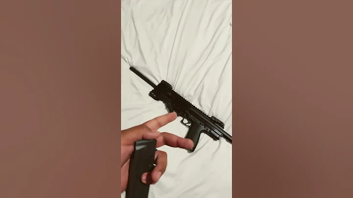 Would you use a 22 magnum for home defense? #gun #edc #9mm #rifle #22wmr