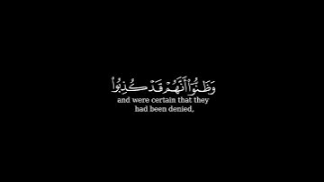 كرومة شاشة سوداء بصوت الشيخ #أحمد_حمادي#سورة_يوسف