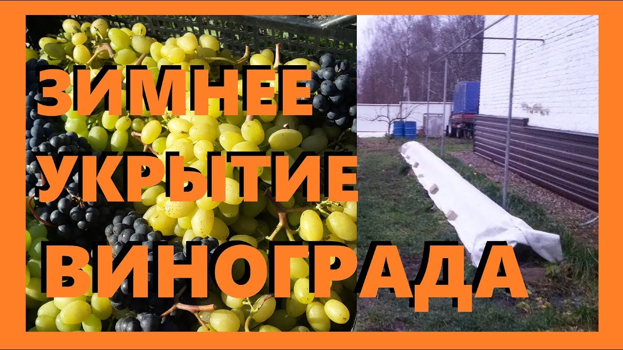 Как укрыть машину