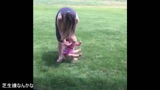 芝生にどうしても足を着けたくない赤ちゃんたちがかわいすぎるwww Youtube