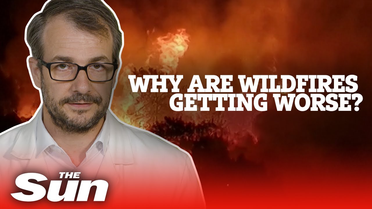 How do you fight wildfires?