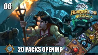 Hearthstone Schnellstarterpaket Packs Opening