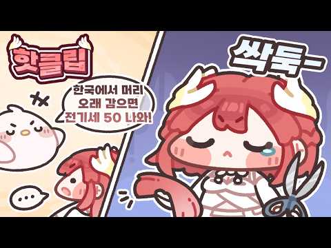 머리카락 팝니다(?) · 5월 하이라이트 上
