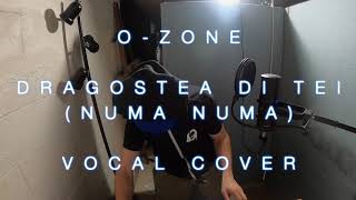 O Zone Dragostea Din Tei Vocal Cover