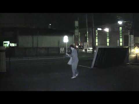 動画