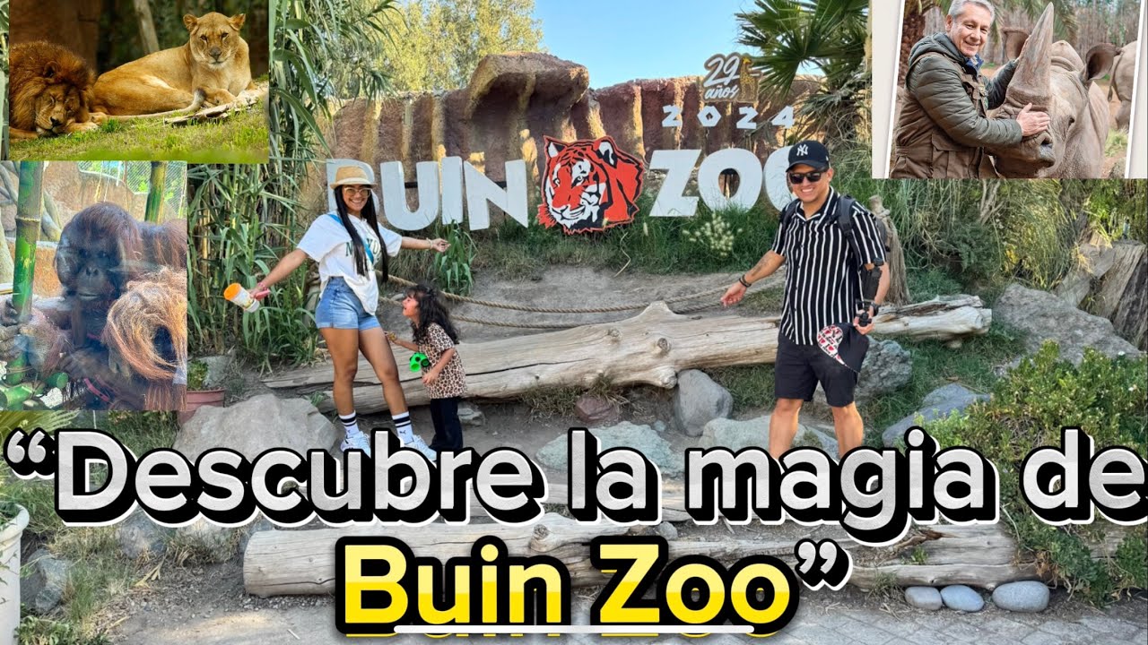 BUIN ZOO: [Un Viaje a la Naturaleza y la Vida Animal]