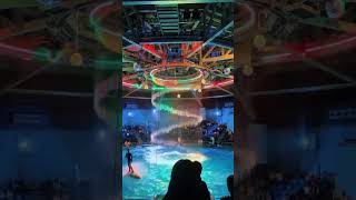 🐬📍 Must-See Dolphin Show in Tokyo Aquarium! #short #tokyo #japanshorts