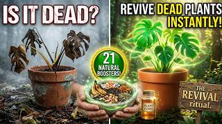 21 free fertilizers the industry doesn't want you to know about (most are already in your home)