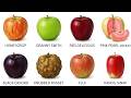 15 Variedades de Manzana EXPLICADAS
