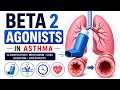 Beta-2 Agonists in Asthma | MOA, Uses &amp; Side Effects.