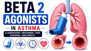 Beta-2 Agonists in Asthma | MOA, Uses & Side Effects.