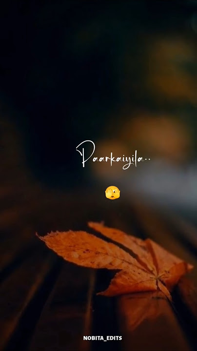 🥰Yetho maruthu 🫣potha yeruthu 🤭 song whatsapp status 🫠🤭👀❤️😍🥰 #80s #love #new #viral #like.