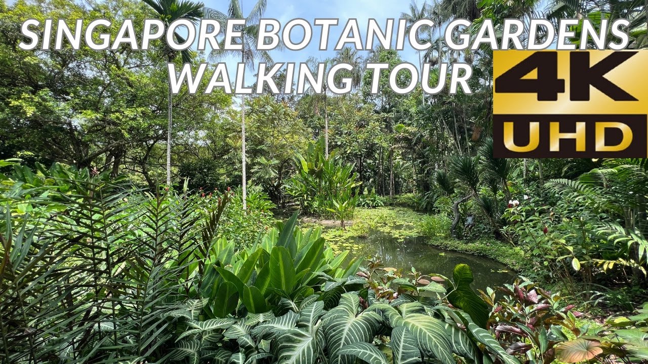 Singapore 🇸🇬 Botanical Gardens Walking Tour [4K] - YouTube