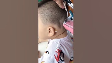 Tông đơ hút tóc