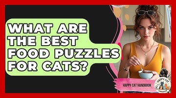 What Are The Best Food Puzzles For Cats? - Happy Cat Handbook