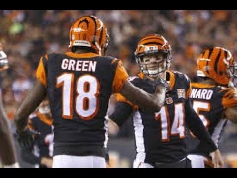 Cincinnati Bengals 2018 - 2019 Hype Video