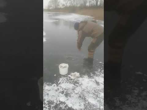 озер Силикатный 2022.