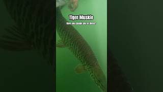 Bucket List Fish. Have You Caught Any Of These?