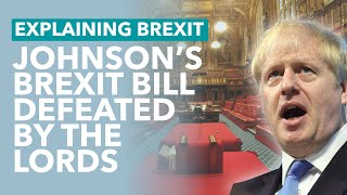 Johnson's Withdrawal Bill Defeated in the Lords (and Why it Doesn't Matter) - Brexit Explained