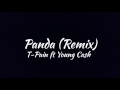 T-Pain ft Young Cash - Panda