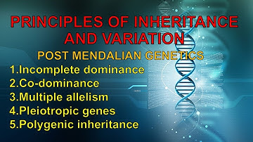 Post Mendelian Genetics | Biologyocity by Kritzz |