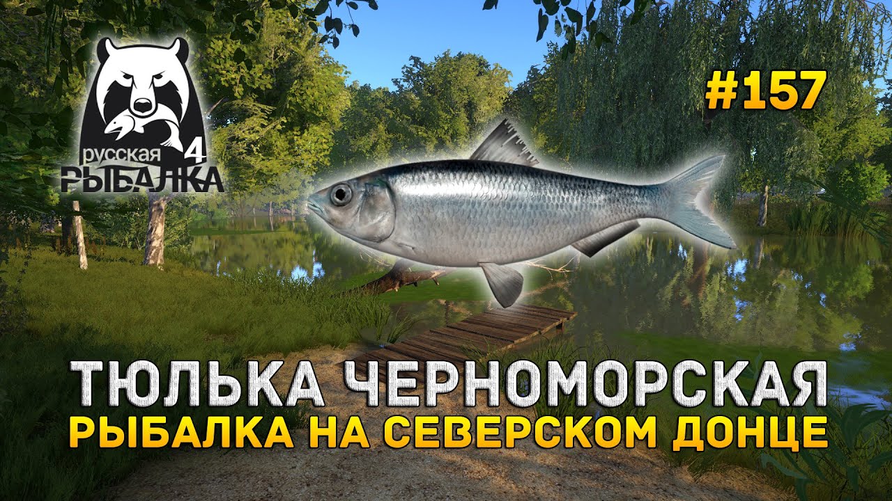 Тюлька на волге