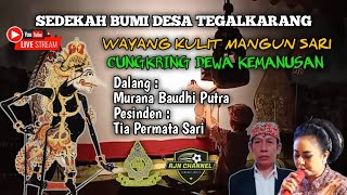 Live WAYANG KULIT DESA TEGALKARANG || MURANA BAUDHI PUTRA - TIA PERMATASARI