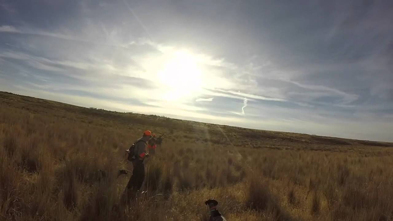 Bird hunting around Grass Valley, Oregon