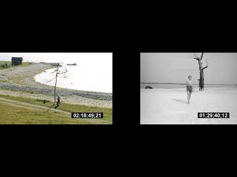 Видеофрагмент № 2