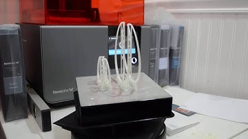 Large & Small Cull Choker, Formlabs Form2 3D Printer, White Material