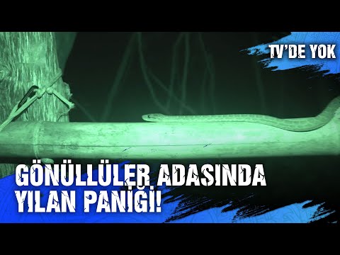 Adada Panik Yaratan