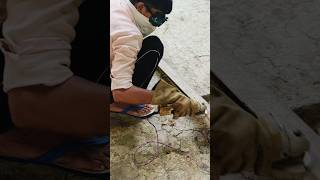 💥 Rusted Iron ko Mirror Finish Mein Kaise Badla? Full Process #desijugaad .. creator test zone