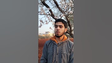 راحة و طمأنينة القارئ محمد دياب #قرآن