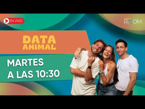 Data Animal: Martes 10:30 a 12:30