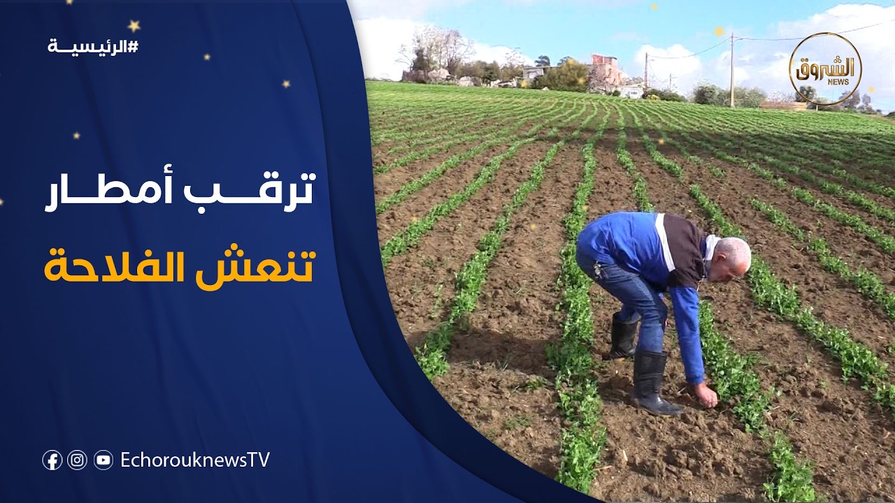 مع ترقب اضطرابات جوية متتالية.. الفلاحون يستبشرون خيرا بموسم فلاحي واعد