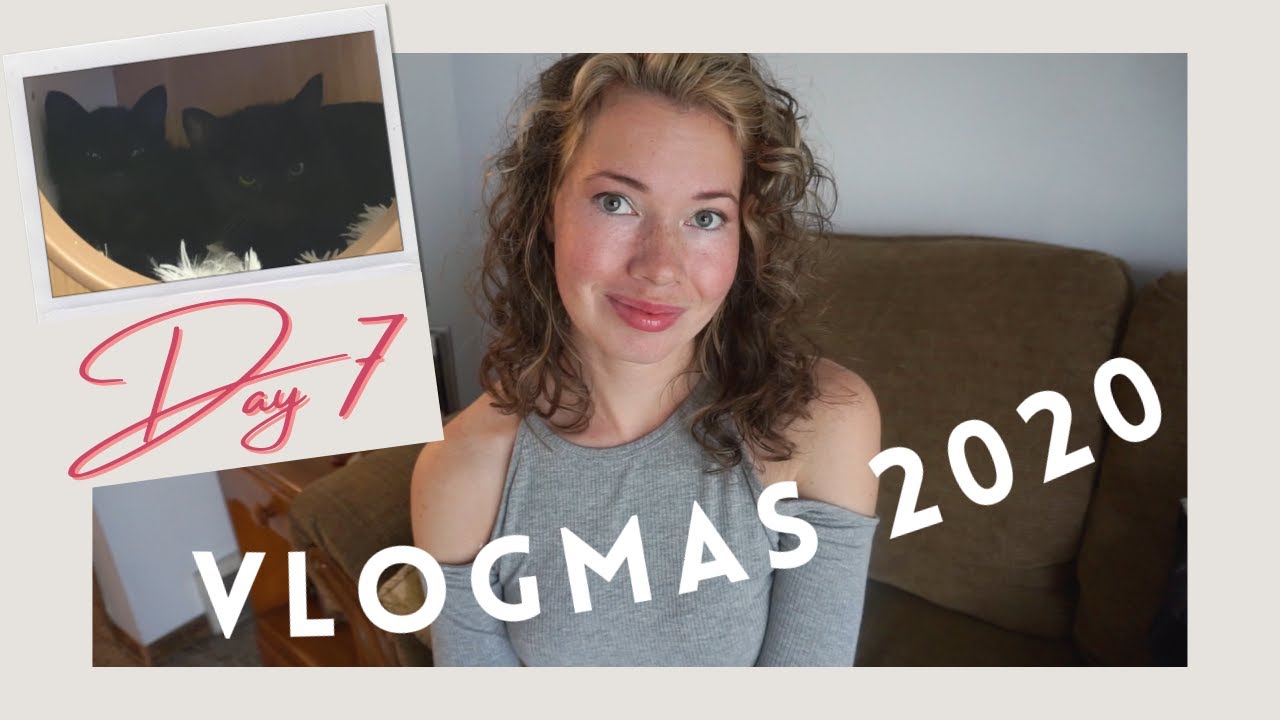 Meeting newly adopted kittens for the first time | MISS HOLLIDAY'S VLOGMAS | day 7