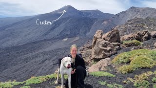 Come Hike Mount Etna With Us | Europe's Most Active Vulcano | Solo Van Life with a Dogo Argentino