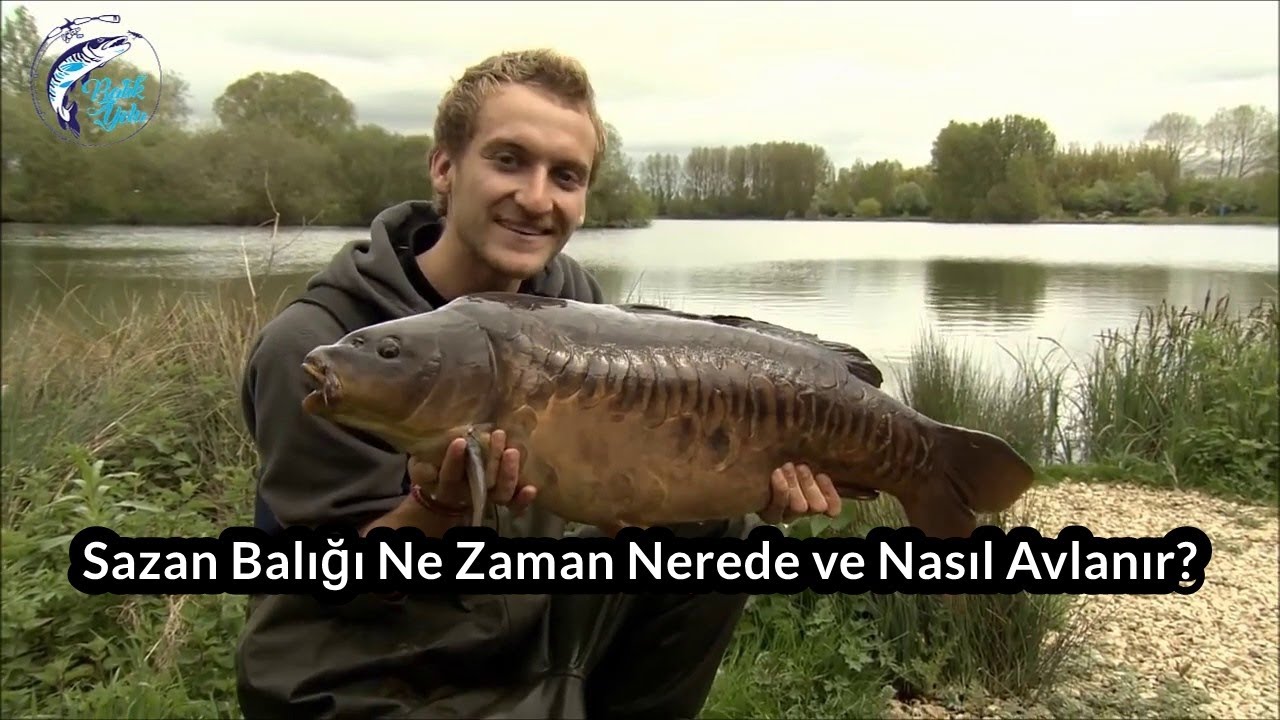 Sazan Balığı Ne Zaman Nerede ve Nasıl Yakalanır?