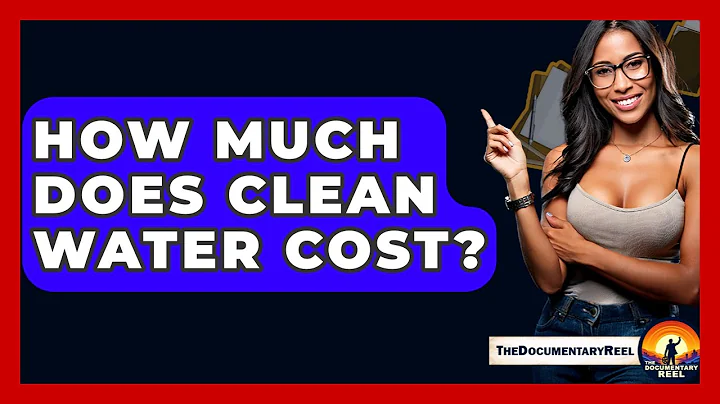 How Much Does Clean Water Cost? - The Documentary Reel