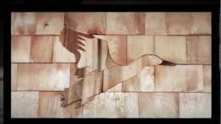 Mosaic Shingle Duck Installation
