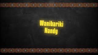 Nandy - Wanibariki (Lyrics Video)