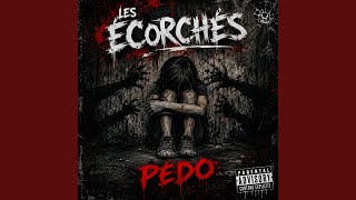 Pédo