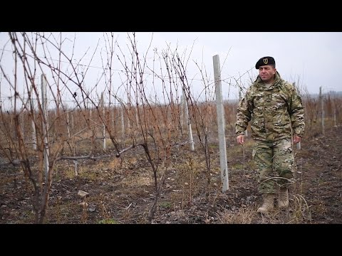 Vepkhvia Chalabashvili's Success Story. Special Project of NATO