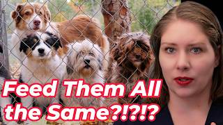Life Stage Pet Food: Marketing Gimmick or Real Science?