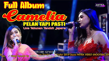 THE BEST FULL ALBUM !! CAMELIA PELAN TAPI PASTI LIVE TENDOK TAHUNAN  JEPARA