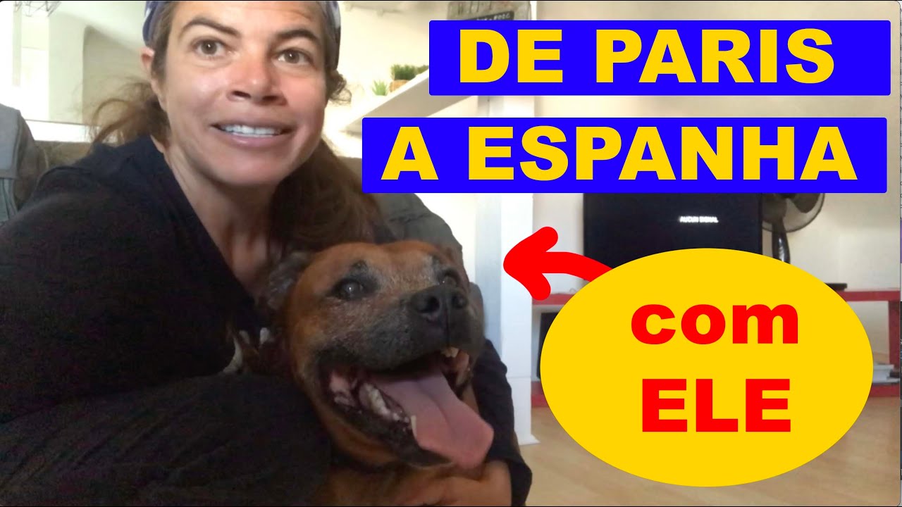 [Eps. 39] Viajando de Paris `a Espanha com cachorro