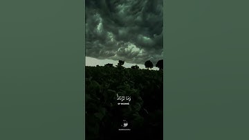 {ٱللَّهُ يَعۡلَمُ مَا تَحۡمِلُ كُلُّ أُنثَىٰ وَمَا تَغِيضُ ٱلۡأَرۡحَامُ } || القارئ عبد الرحمٰن مسعد