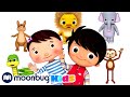 Zoo Song | Little Baby Bum | Kids Songs | Nursery Rhymes | Sleep Baby Songs