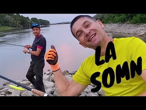 Click to Play Video